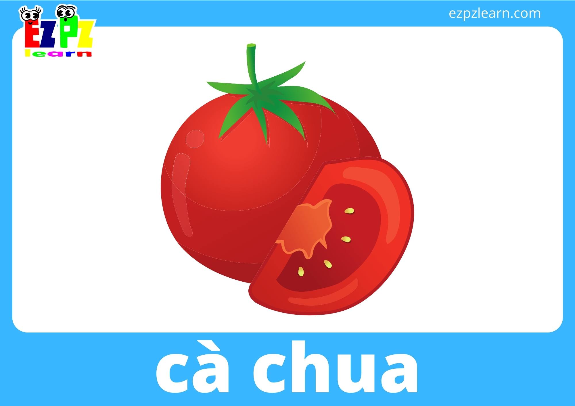 cà chua
